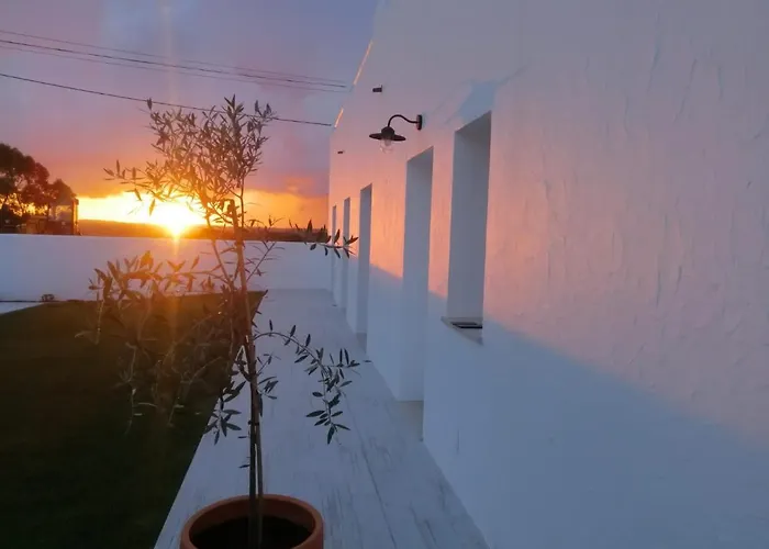 Pe No Campo And * Carvalhal (Leiria)